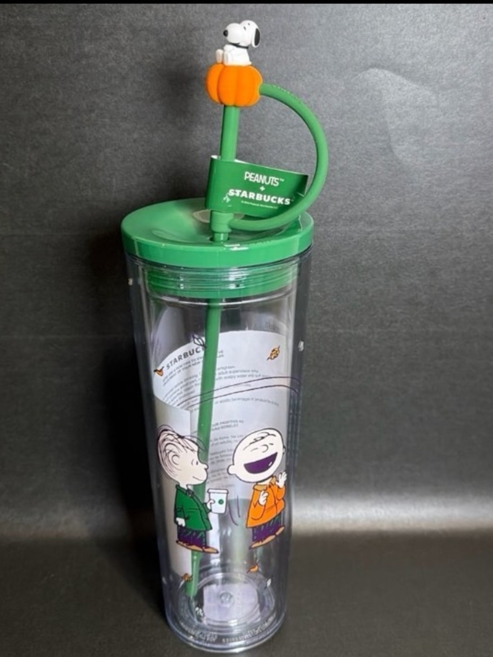 Starbucks Peanuts Green Travel Tumbler with Snoopy Pumpkin Straw Top